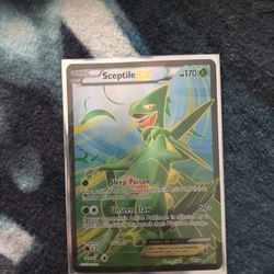 Sceptile EX FULL ART Pokemon
