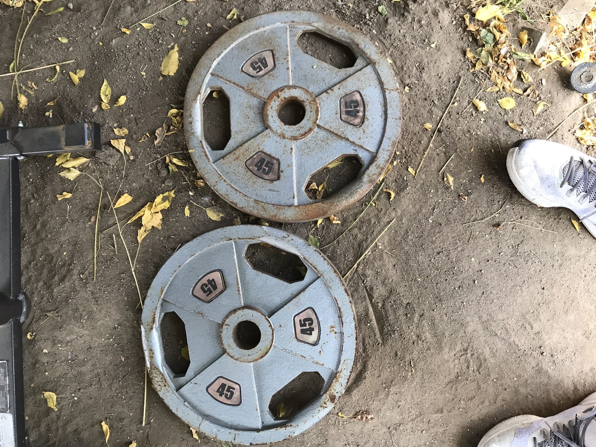 Olympic Weight Plates