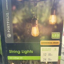 Outdoor LED String Lights