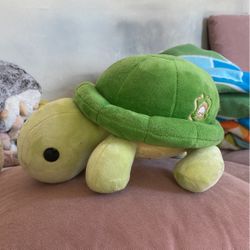 Bellzi turtle online