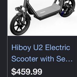 Electric Scooter 