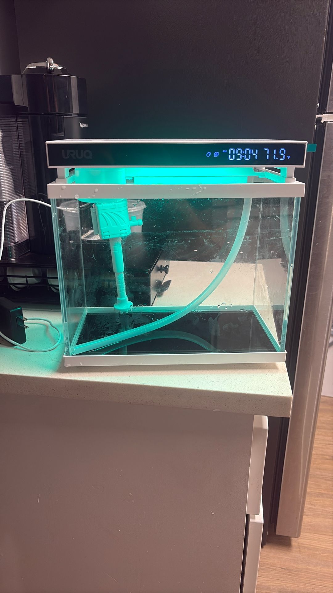 Uruq 2 gallon fish tank