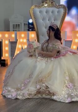 Hermoso vestido de 15 años mandado hacer solo se usó para la cesión de fotos y 3 horas para el día de su cumpleaños pague por el 2300