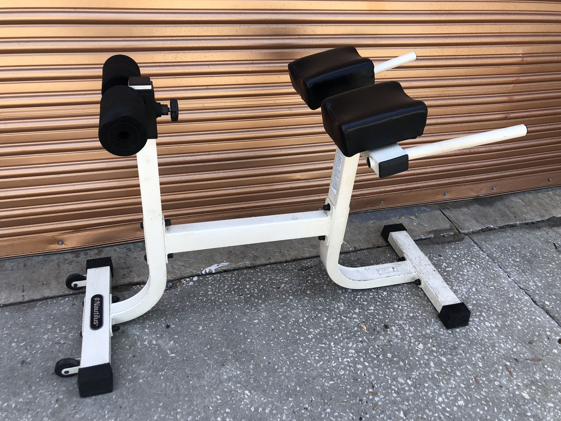 Nautilus Roman Chair / Hyperextension
