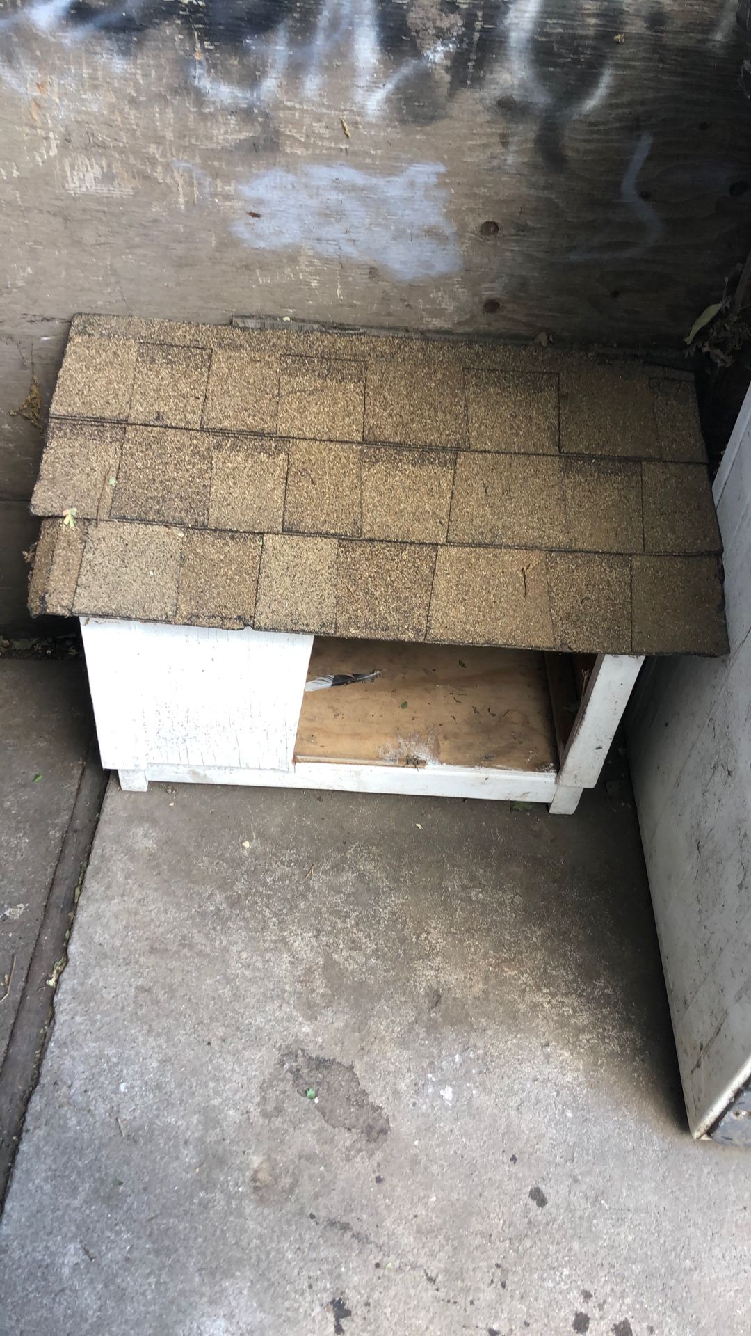Small Dog House