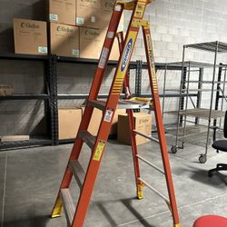 Werner 10ft Ladder 