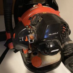 Echo Leaf Blower 
