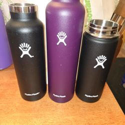Hydroflask Collection 