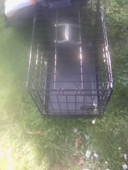 Dog Kennel