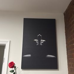 Canvas Wall Art 