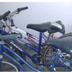 1981 Schwinn Caliente Road Bike 40cm XXX-Small Lugged Chromoly Steel Retro 80's~