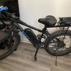600 Dollar E-bike Firm