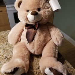 New Lg Plush Teddy Bear 