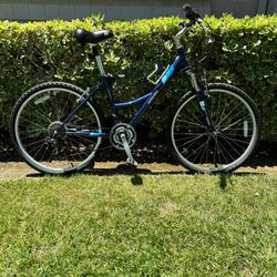 Nishiki Tamarack Comfort Bike Size Medium/26” Tires