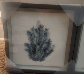 Frames/Art