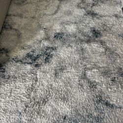Area Rug 