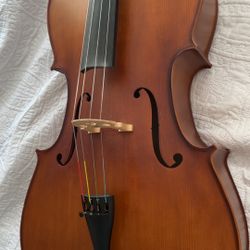Solid Wood 4/4 Cello Ebony Fittings 
