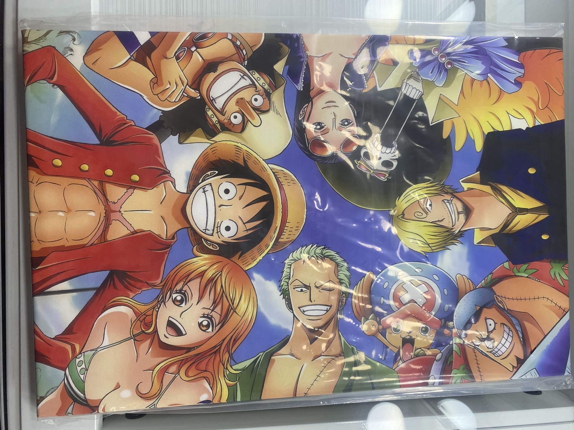 one piece anime picture