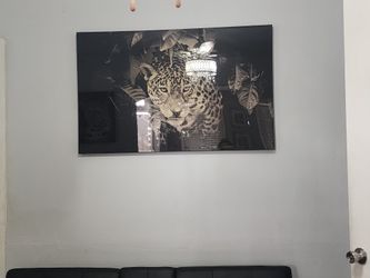 Frame Decor Cuadro Pa De Cora