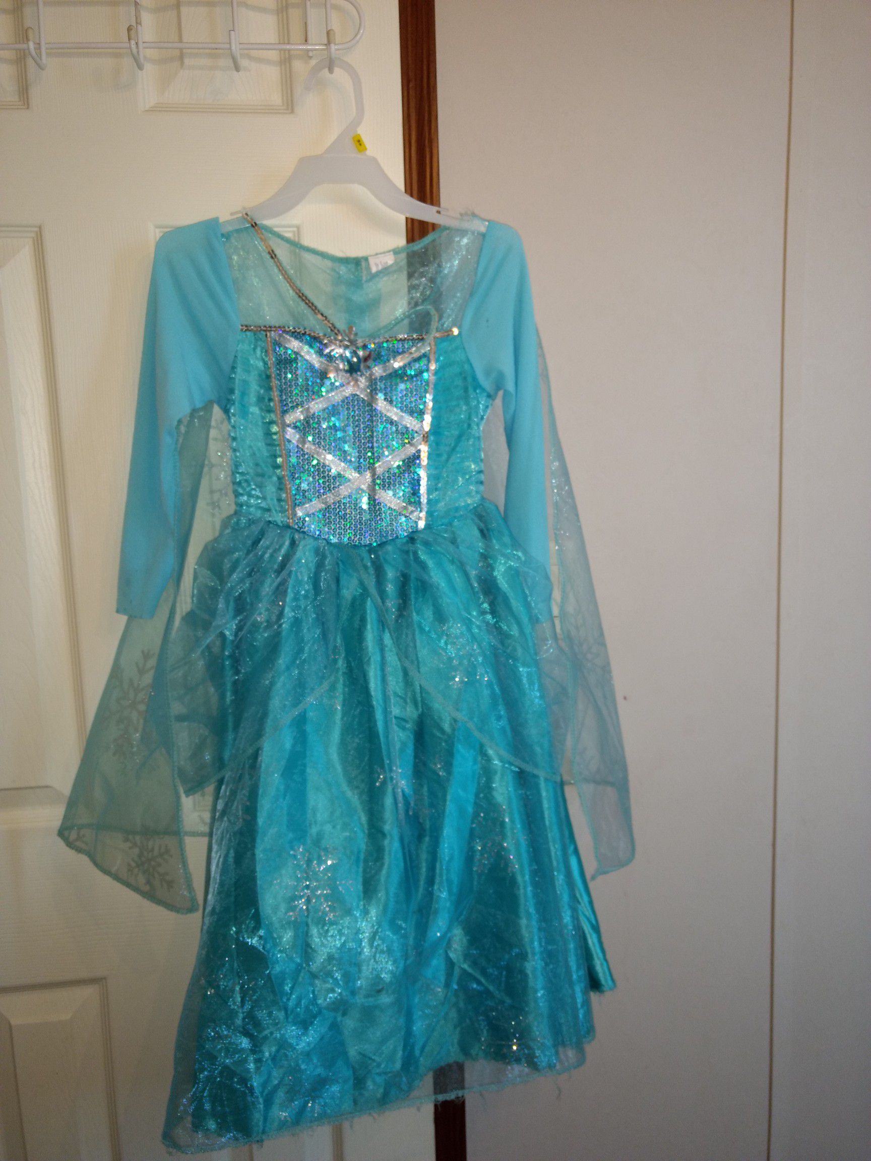Elsa dress costume
