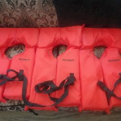 Life Vest