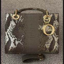 Beautiful New Bag/ With Strap 