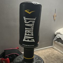 Everlast punching bag