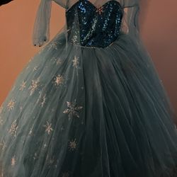 Frozen Princess Dress