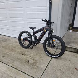 Freesky Alaska Pro Ebike