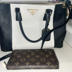 Prada Bag Amd Louis Vuitton wallet