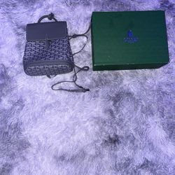 Authentic Goyard Mini Alpin Backpack Gray – Like New w/ Box & Dust Bag