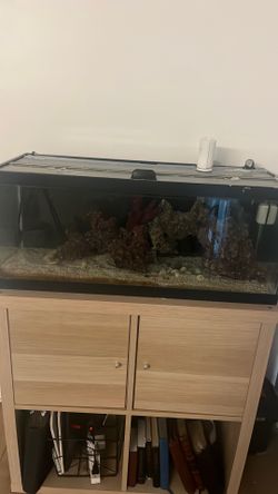 20 gallon saltwater tank
