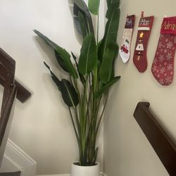 Talk Fake Plant With Base 