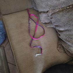 Dog Leash