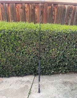 PENN Rampage® Boat Conventional Rod, 7' Medium