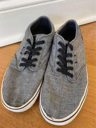 Men’s Van Shoes