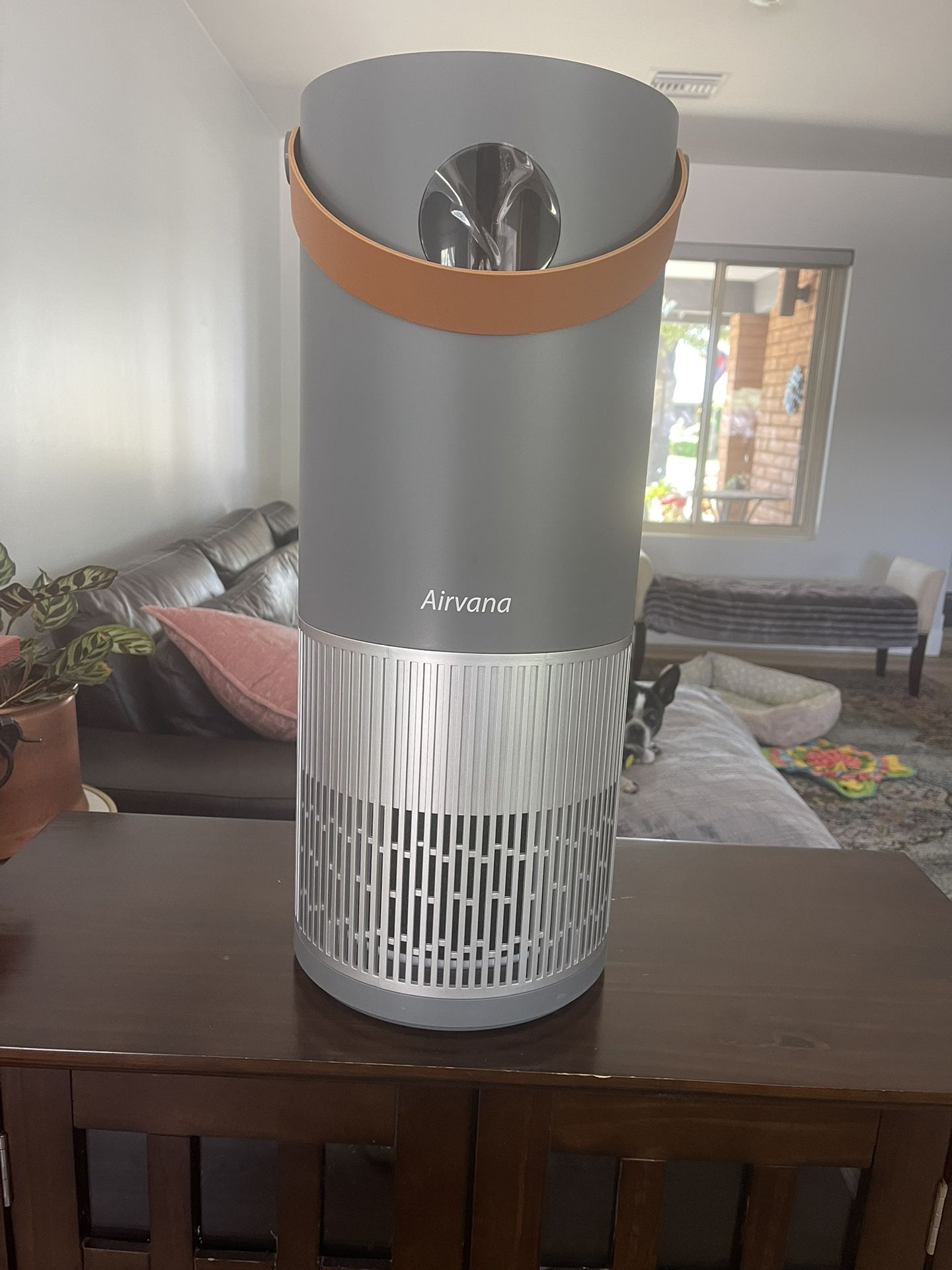 Airvana 2-1 True Hepa Air Purifier And Humidifier 