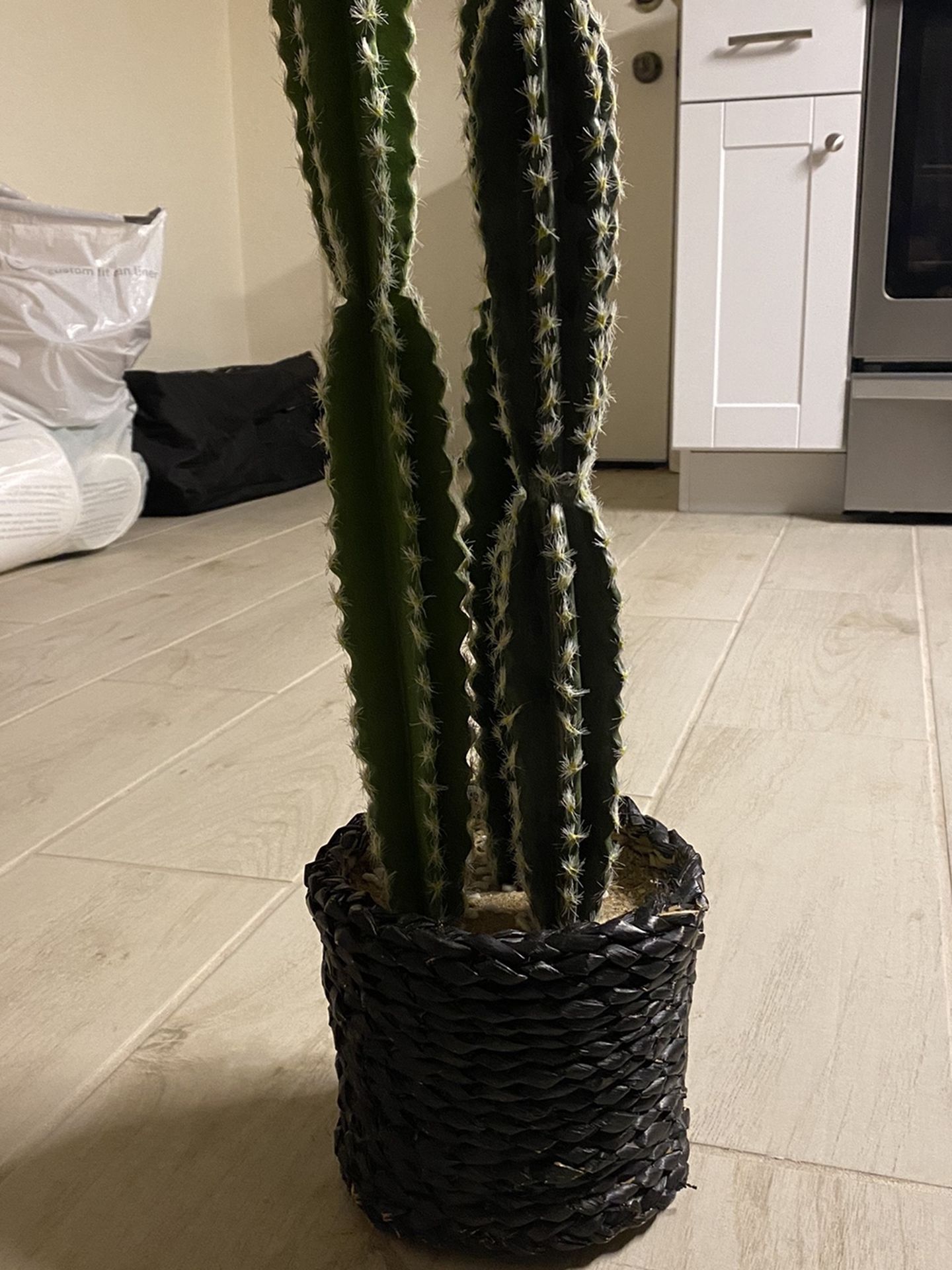 fake cactus plant