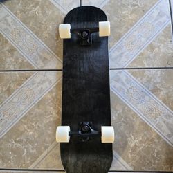 SKATEBOARDS SIZE 8.50 