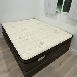 Organic Cotton Euro Pillow Top 12" Queen Mattress 