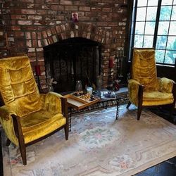 MCM Vintage Tiger Velvet Chairs 