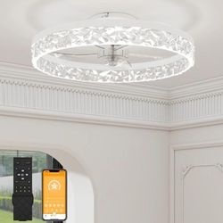 Ceiling Fan Light