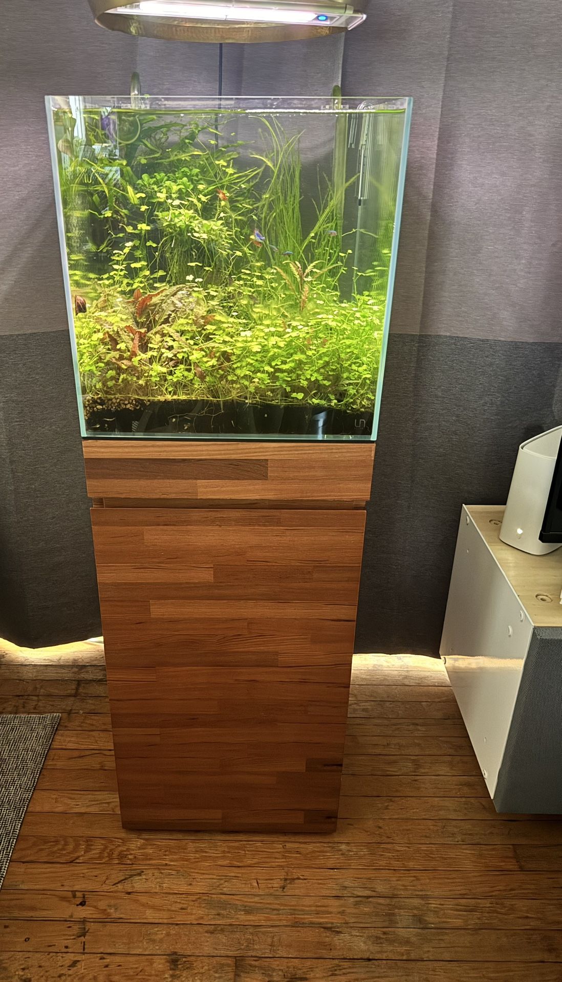 Aquarium And Stand UNS 40C