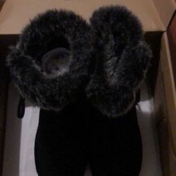 Bearpaws Pickup/Park Forest IL $25