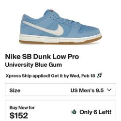 NIKE SB DUNK LOW PRO 