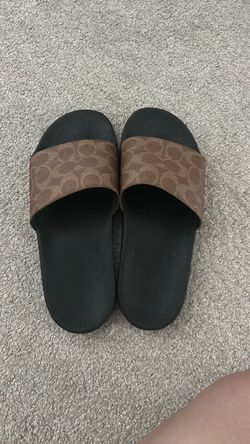 Brown coach slides