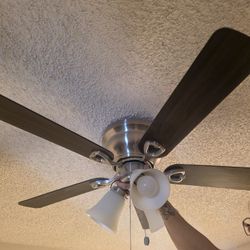 Cieling Fans