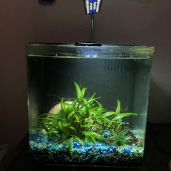 Fish & Aquarium