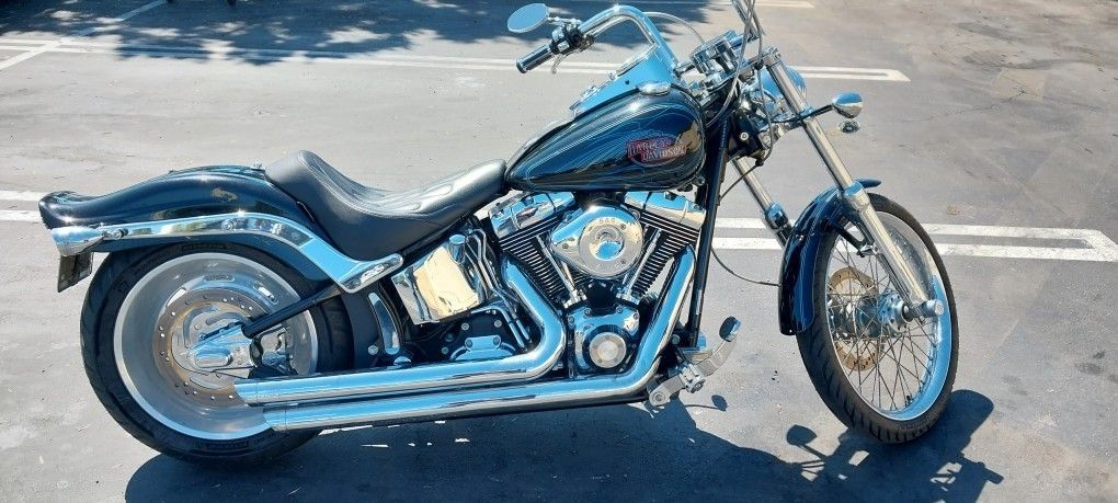 2007 Harley davidson Softail custom