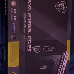 MSI A750GL 750W Power Supply